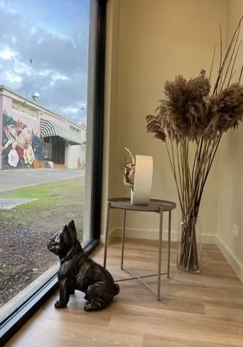 Spa interior dog ornament